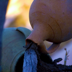 Cruches en poterie renversées sur une branche - Turquie  - collection de photos clin d'oeil, catégorie clindoeil