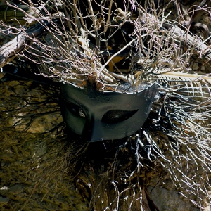 Masque recouvrant de fines branches de bois sur un mur de pierres - France  - collection de photos clin d'oeil, catégorie clindoeil