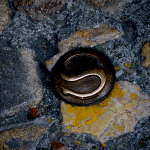 Plaquette circulaire en bronze avec en relief la lettre S plantée dans un trottoir de pavés - France  - collection de photos clin d'oeil, catégorie clindoeil