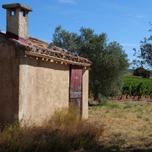 Cabanon de vigneron devant les vignes - France  - collection de photos clin d'oeil, catégorie paysages