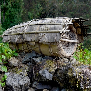 Ruche à la limite de la forêt vierge au Rwanda - Rwanda  - collection de photos clin d'oeil, catégorie paysages