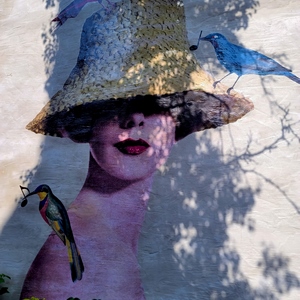 Streetart d'une élégante au chapeau, oiseau chantant et ombre - Belgique  - collection de photos clin d'oeil, catégorie streetart